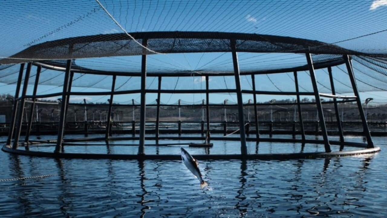 Image for read more article '相關內容'