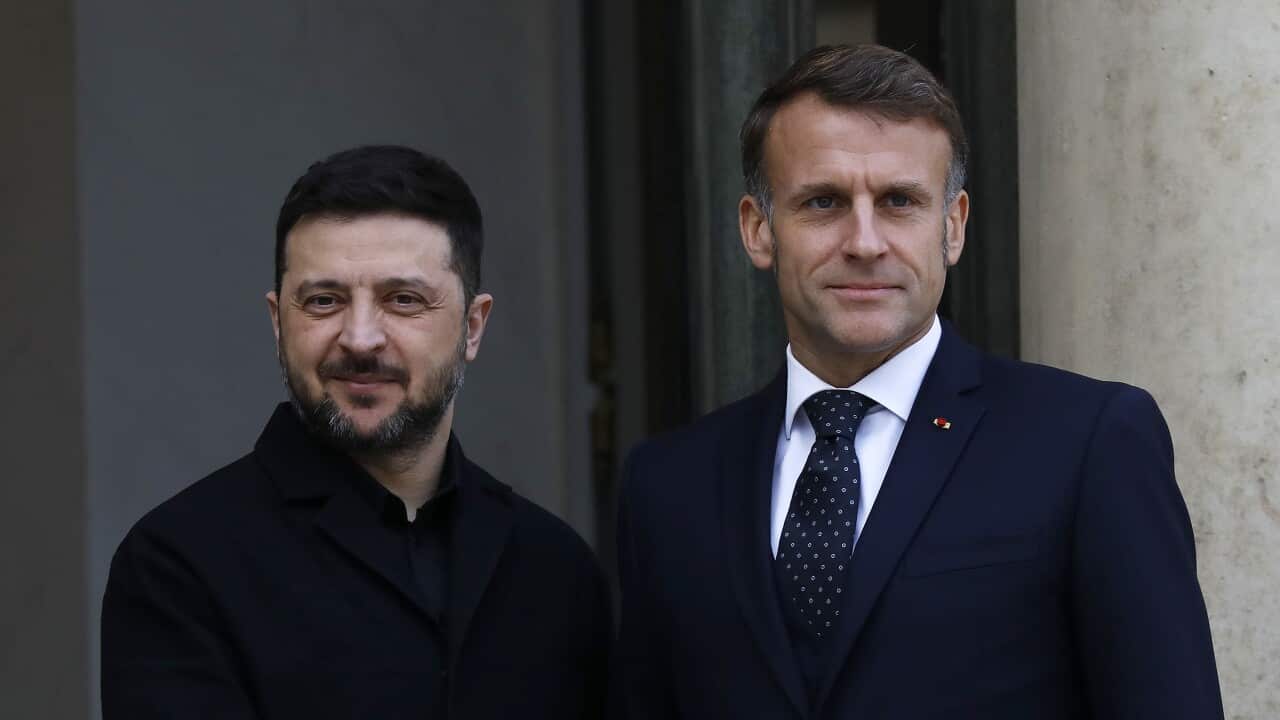 Zelenskyy, Macron push for united front as Ukraine awaits tough talks with Trump Zelenskyy, Macron push for united front as Ukraine awaits tough talks with Trump
