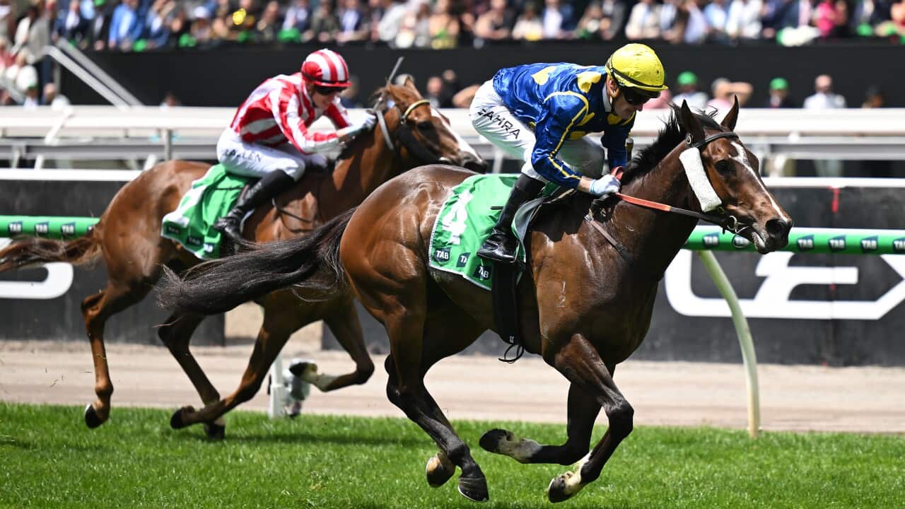 RACING MELBOURNE CUP