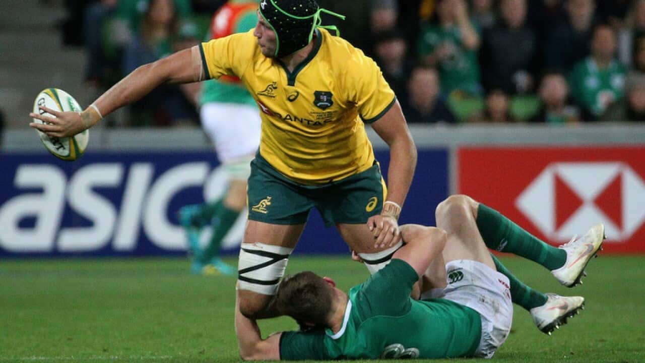 The Wallabies' Adam Coleman against Ireland