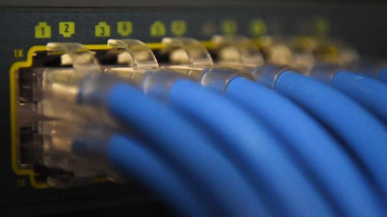 A file image of ethernet data cables