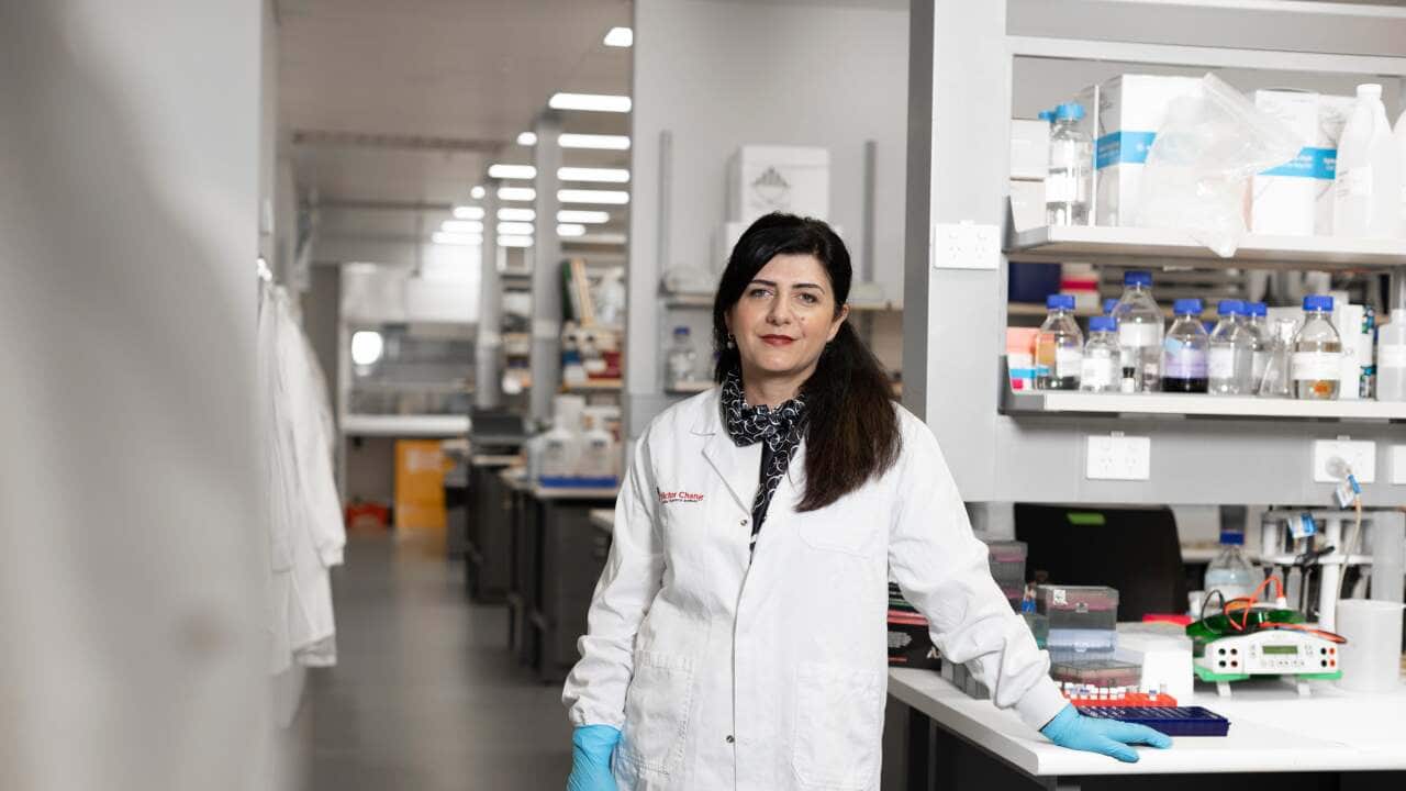 Jasmina Cvetkovska foto.jpg