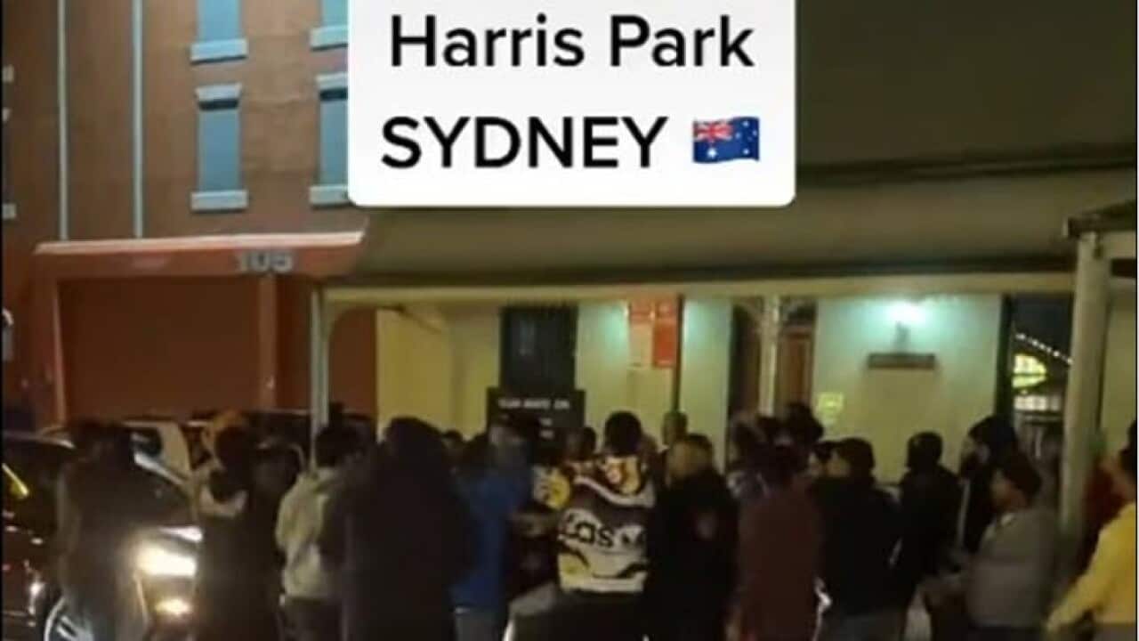 Violence in Sydney's Harris Park Indian community leaders call for
