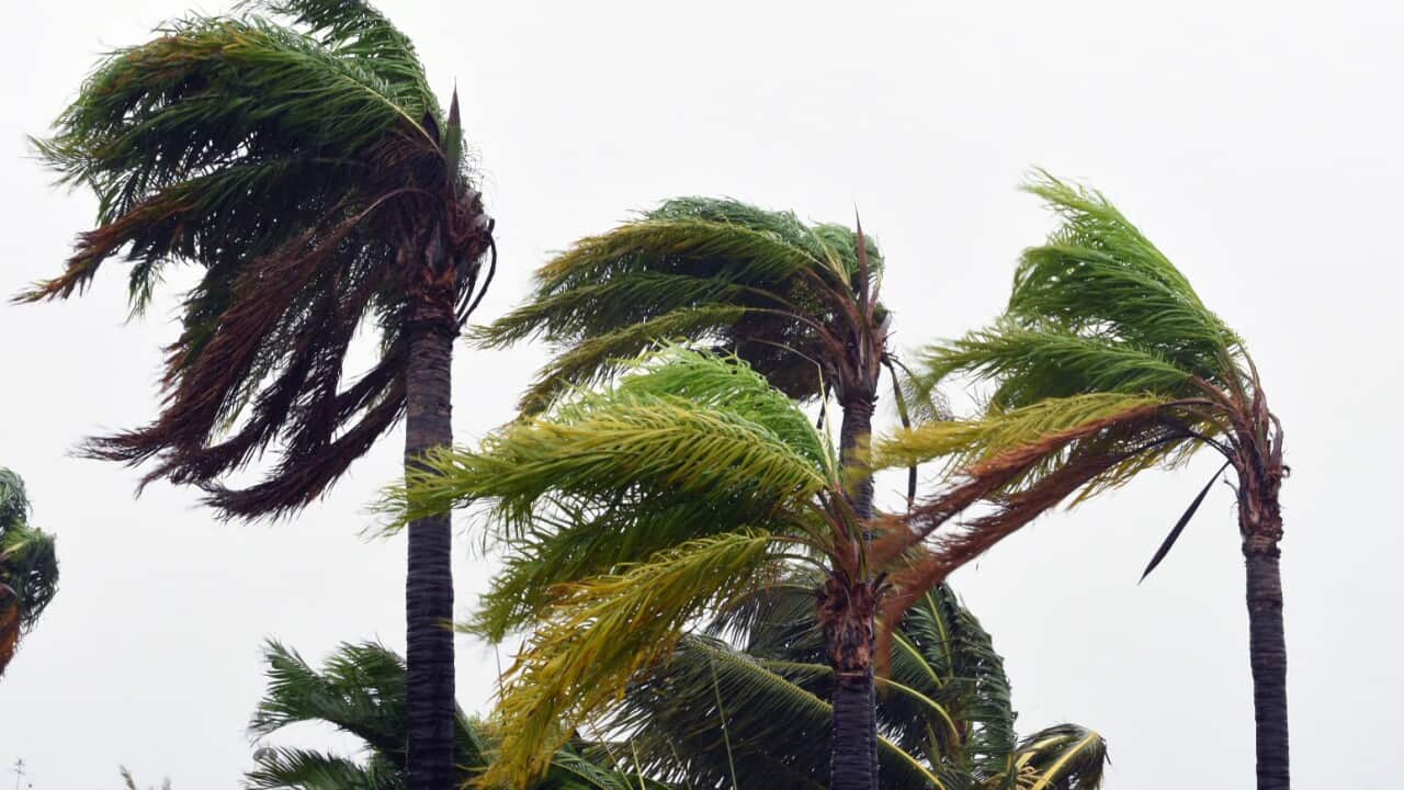 QUEENSLAND CYCLONE DEBBIE BOWEN
