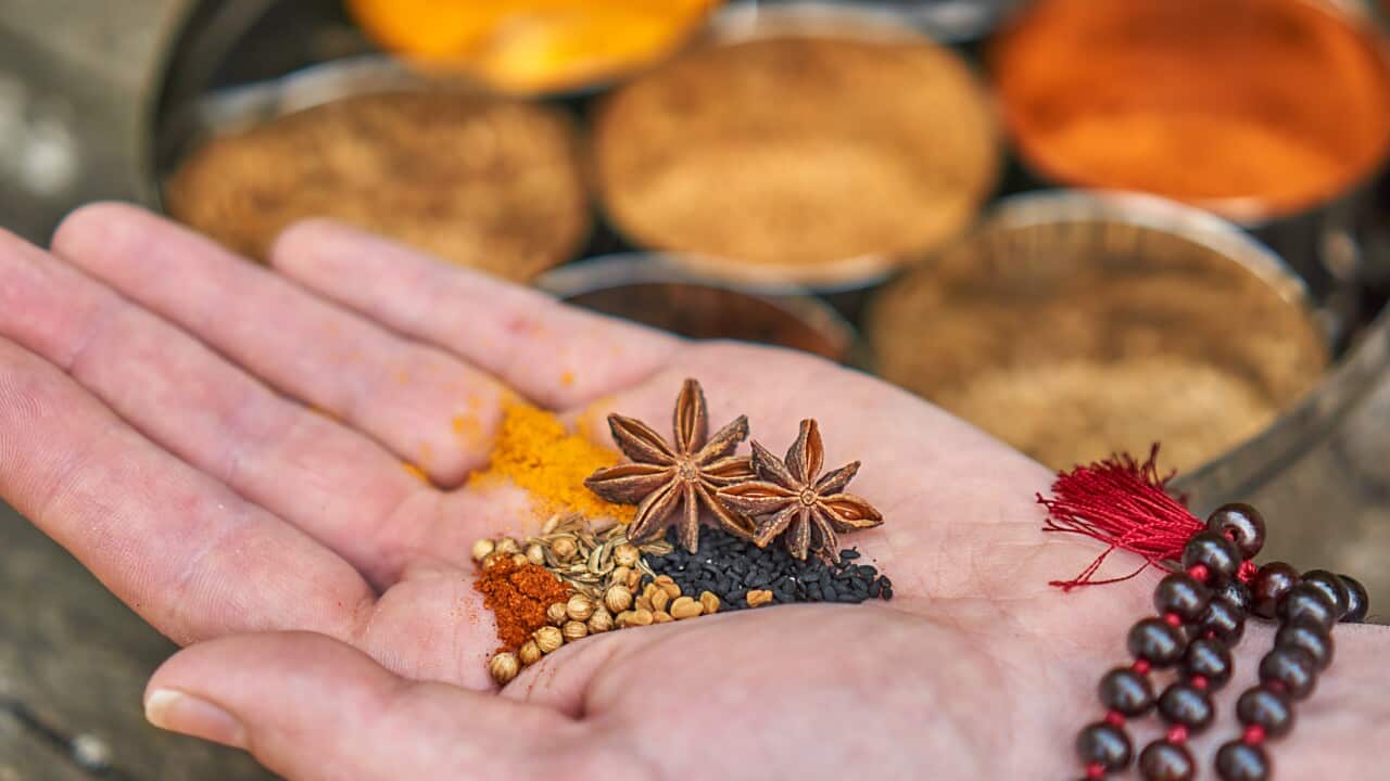 Ayurveda: spices in the palm of a hand and in an Indian spice jar