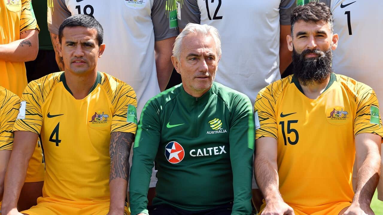 Australia's forward Tim Cahill (left) coach Bert van Marwijk and midfielder Mile Jedinak (right) pose on the sideline of a training session in Kazan.