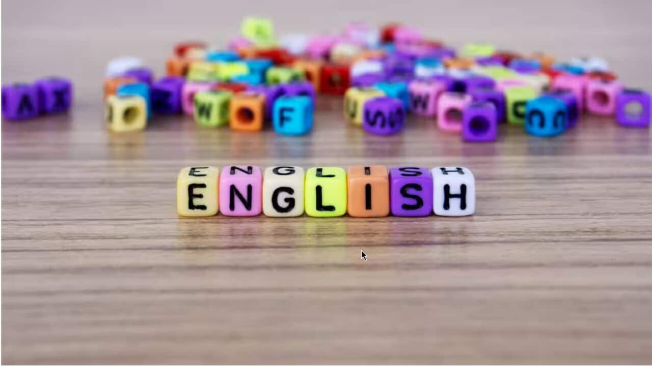 School and education concept Source: Moment RF / Nora Carol Photography/Getty Images