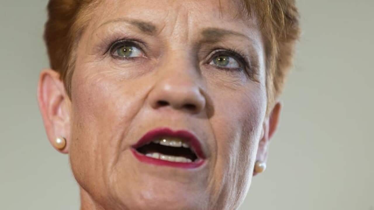 One Nation leader Pauline Hanson says she is Indigenous.