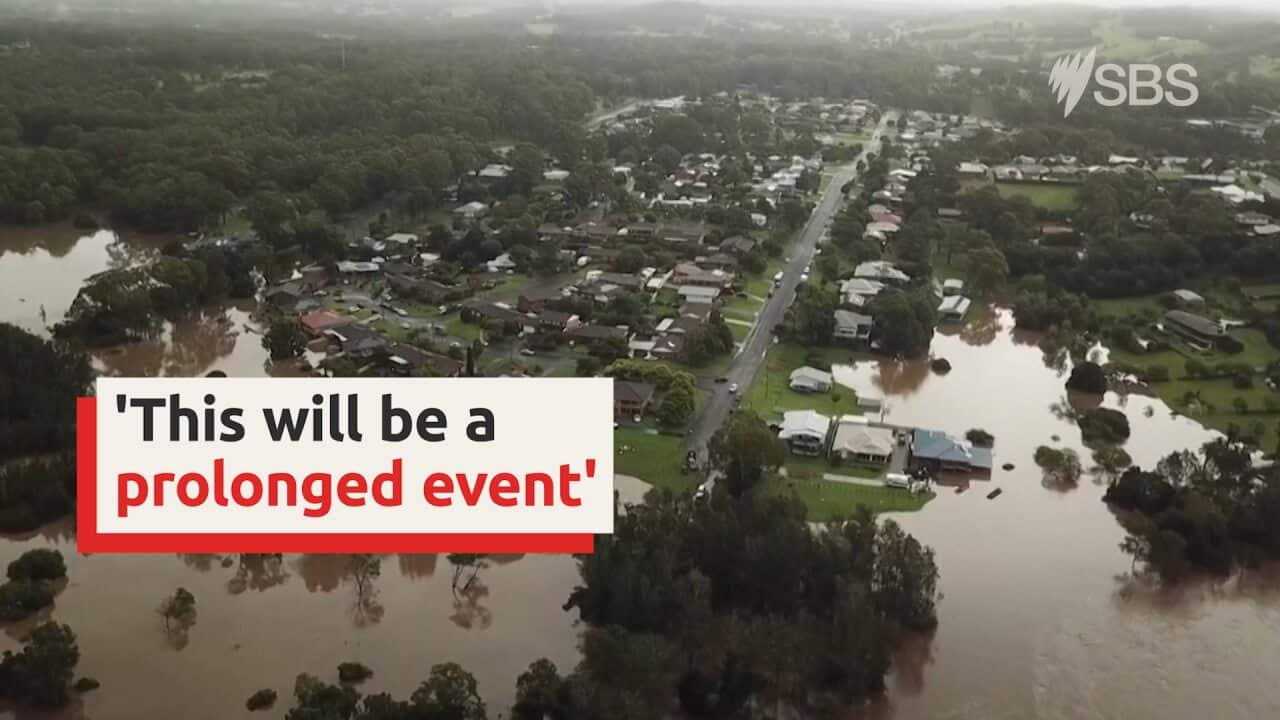 Image for read more article 'READ MORE'