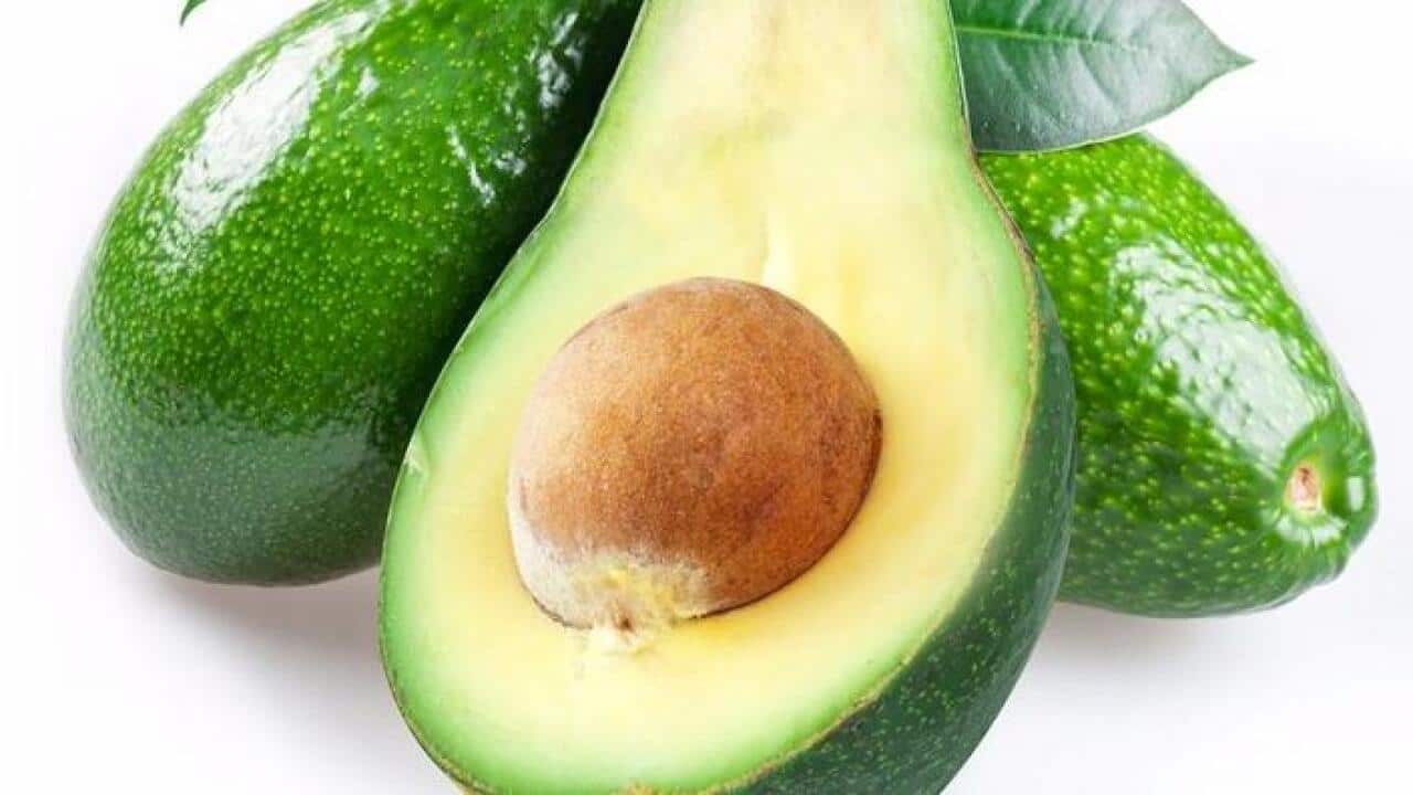 Avocado