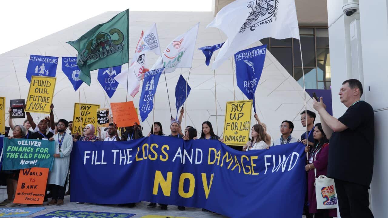 COP28 UNFCCC Climate Conference: Day Seven