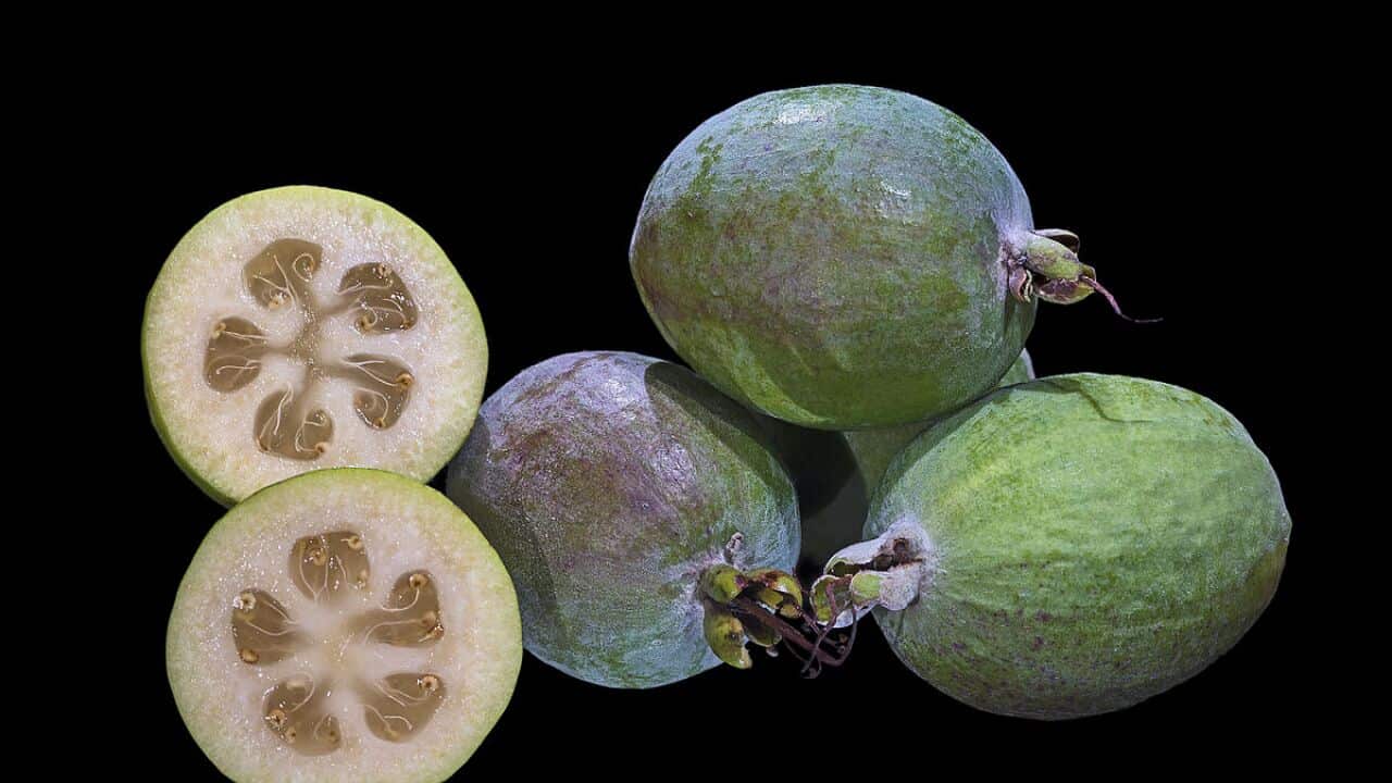 Image for read more article 'READ MORE'