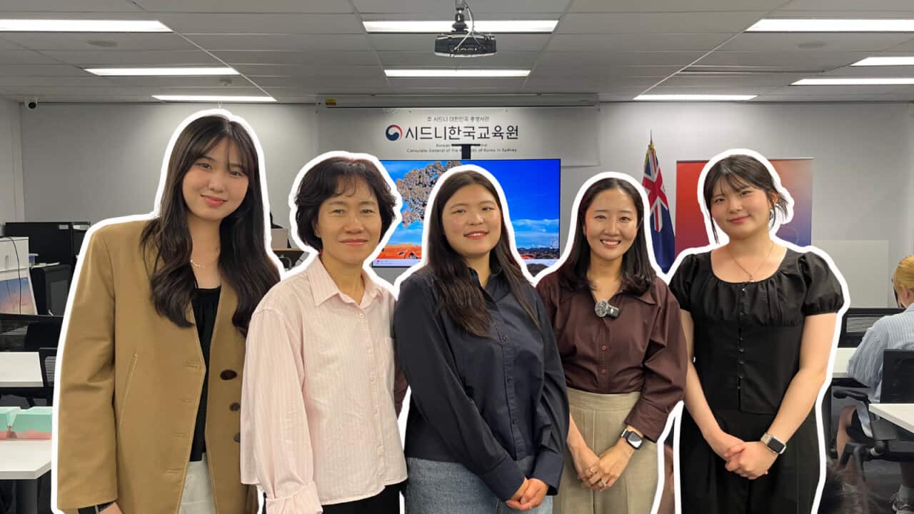 캔바 편집 (1).png