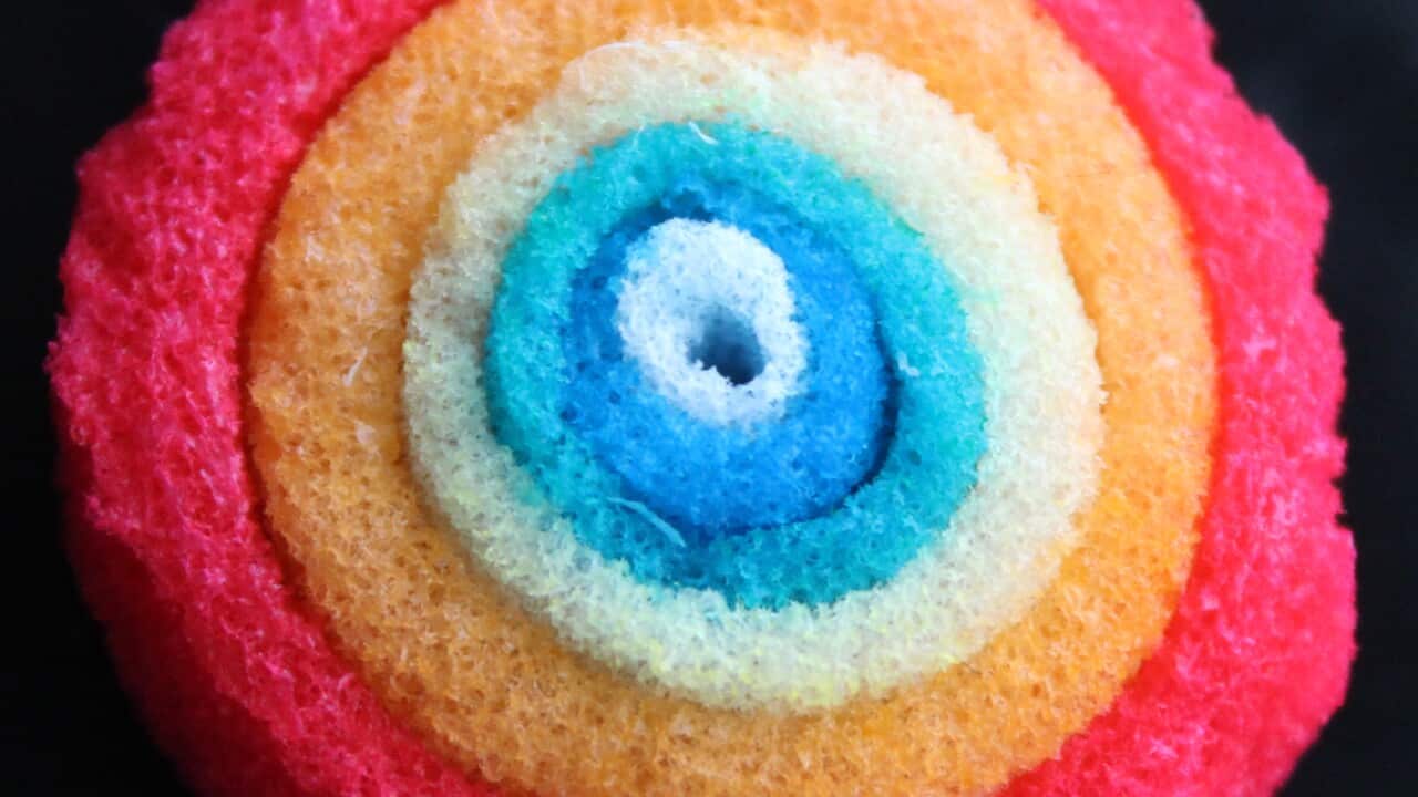 By creating a model with six concentric rings, each populated with different types of neurons, the researchers were able to mimic the six layers of a human brain cortex. (Image: Tufts University)