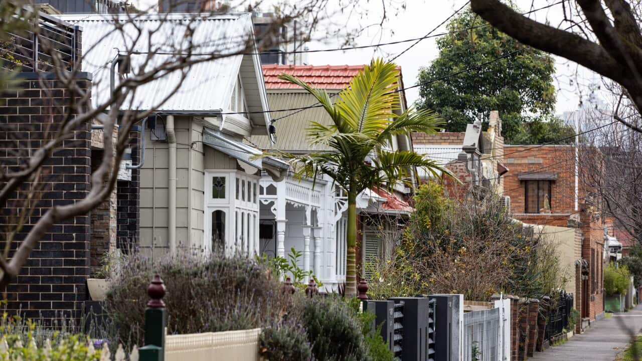 Image for read more article 'READ MORE'