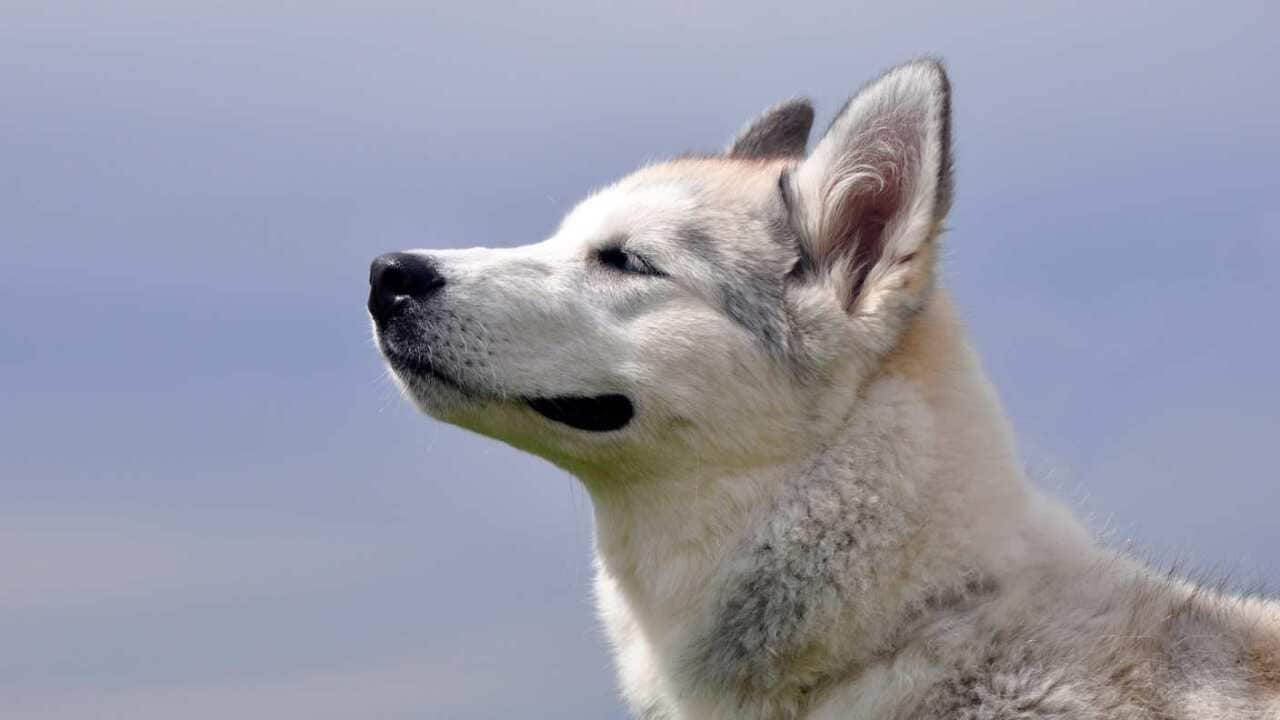 Image for read more article 'Recommended'