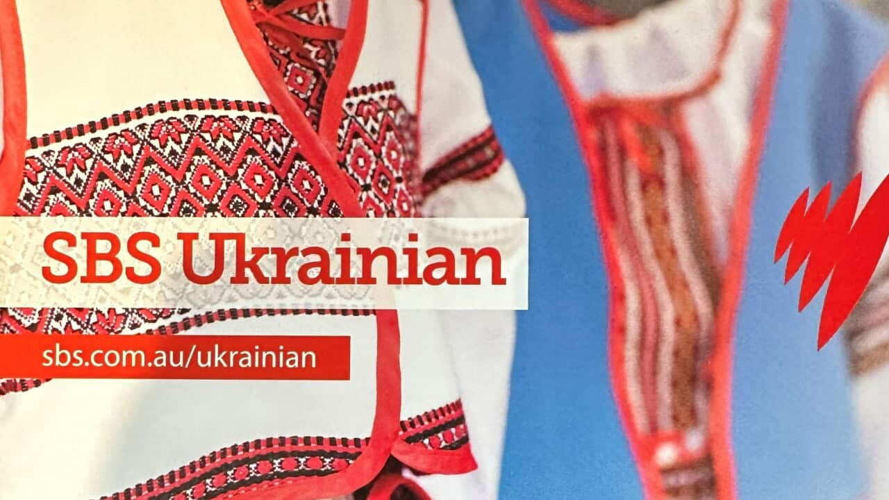 sbs ukrainian 2024 - news-report web.jpg