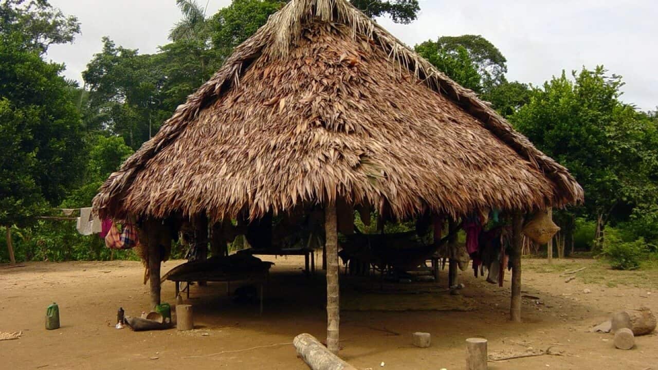 Bolivia's Tsimane people