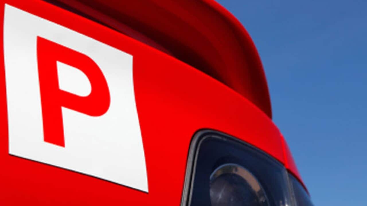 P Plate