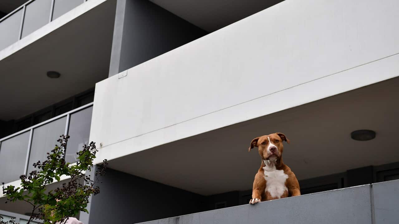 VICINITY APARTMENT TOWER SYDNEY