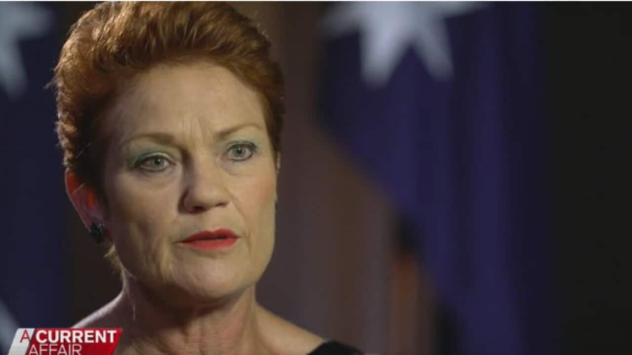 One Nation Senator Pauline Hanson.