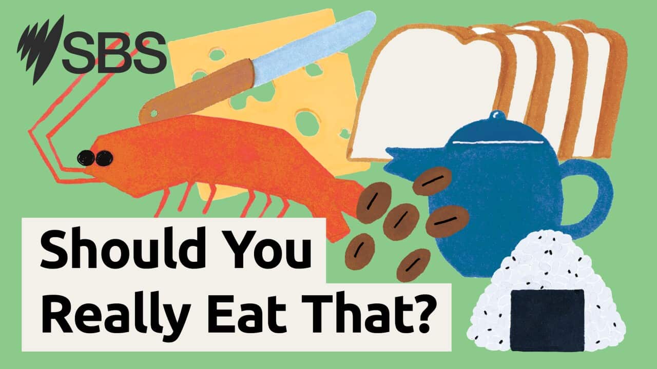 Should you really eat that Podcast artwork 16x9.jpg