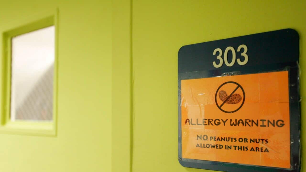 Peanuts and Nuts Banned at School