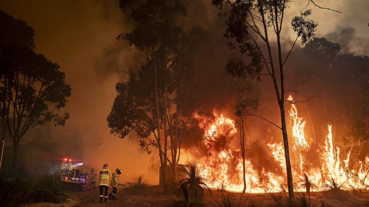 BUSHFIRES WA