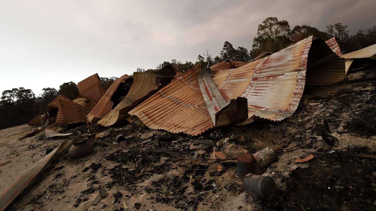 Image for read more article ''