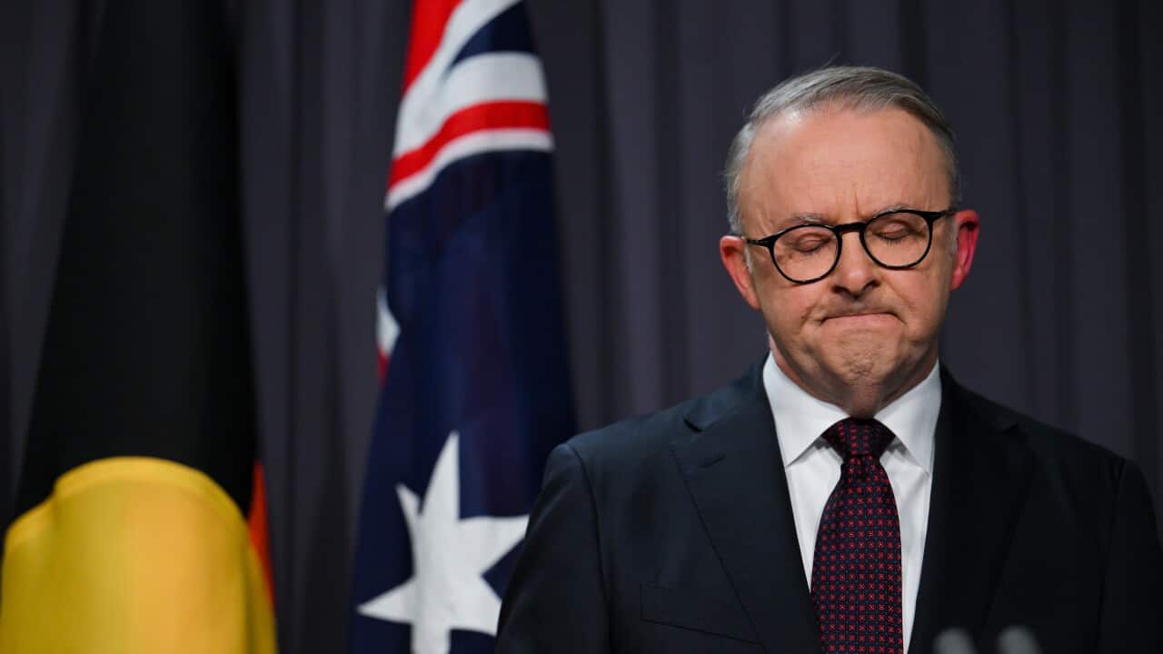 Anthony Albanese grimaces on Voice referendum night.