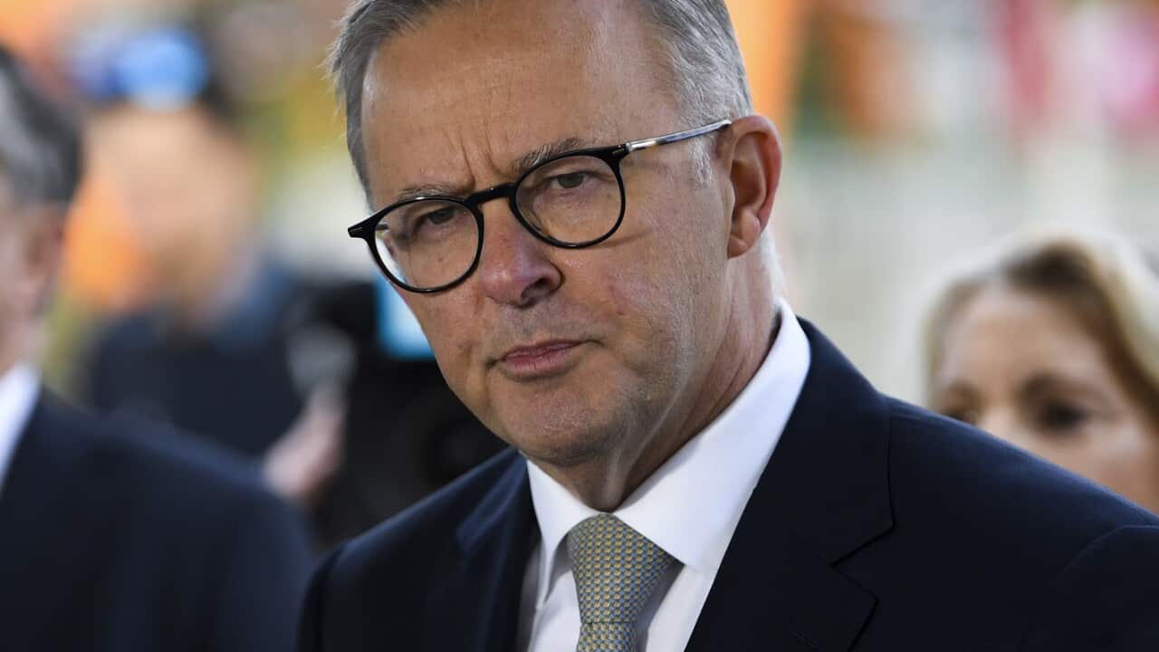 ANTHONY ALBANESE