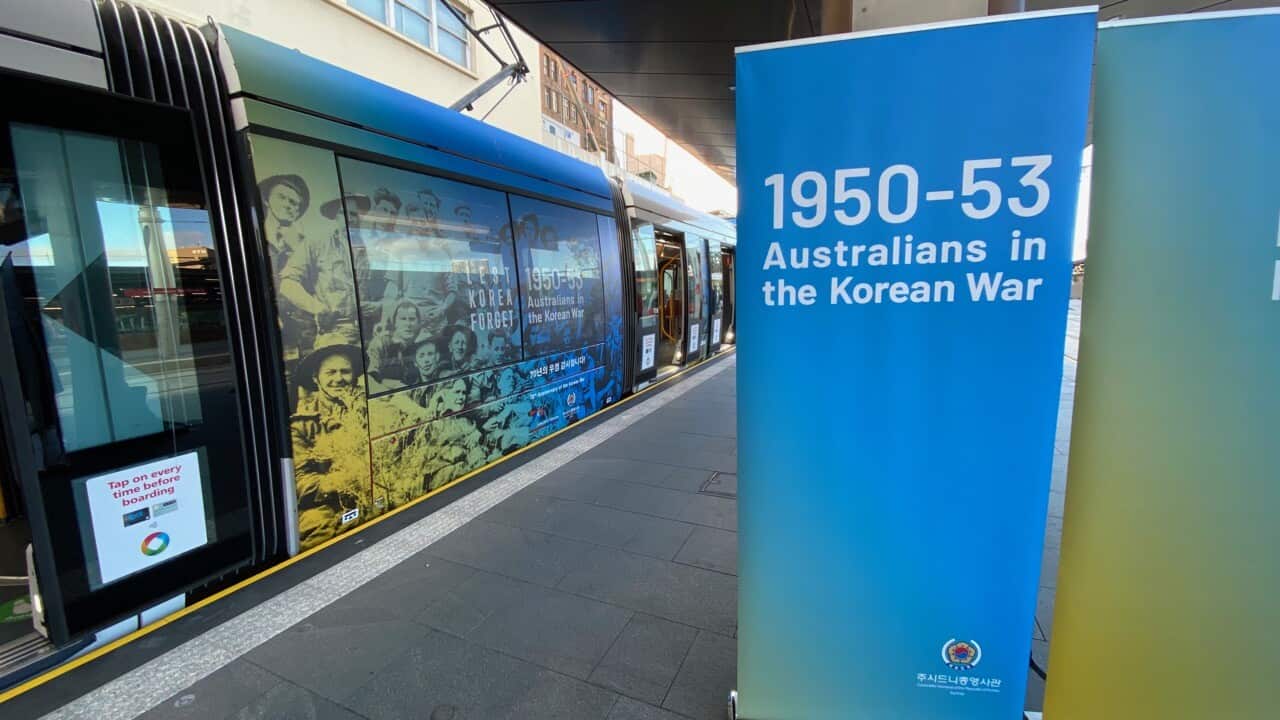 Image for read more article 'READ MORE'