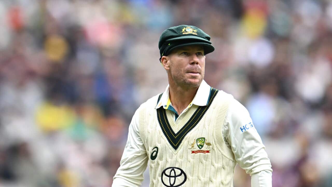 David Warner on a cricket field