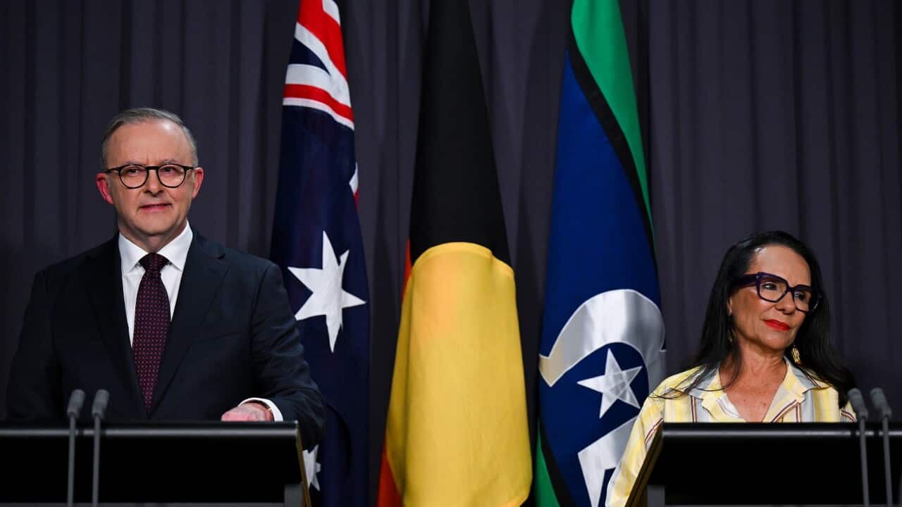 ANTHONY ALBANESE VOICE REFERENDUM ADDRESS