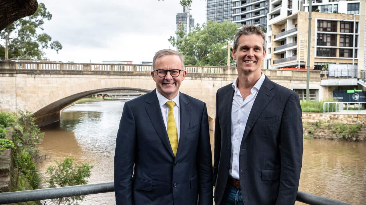 ANTHONY ALBANESE PRESSER