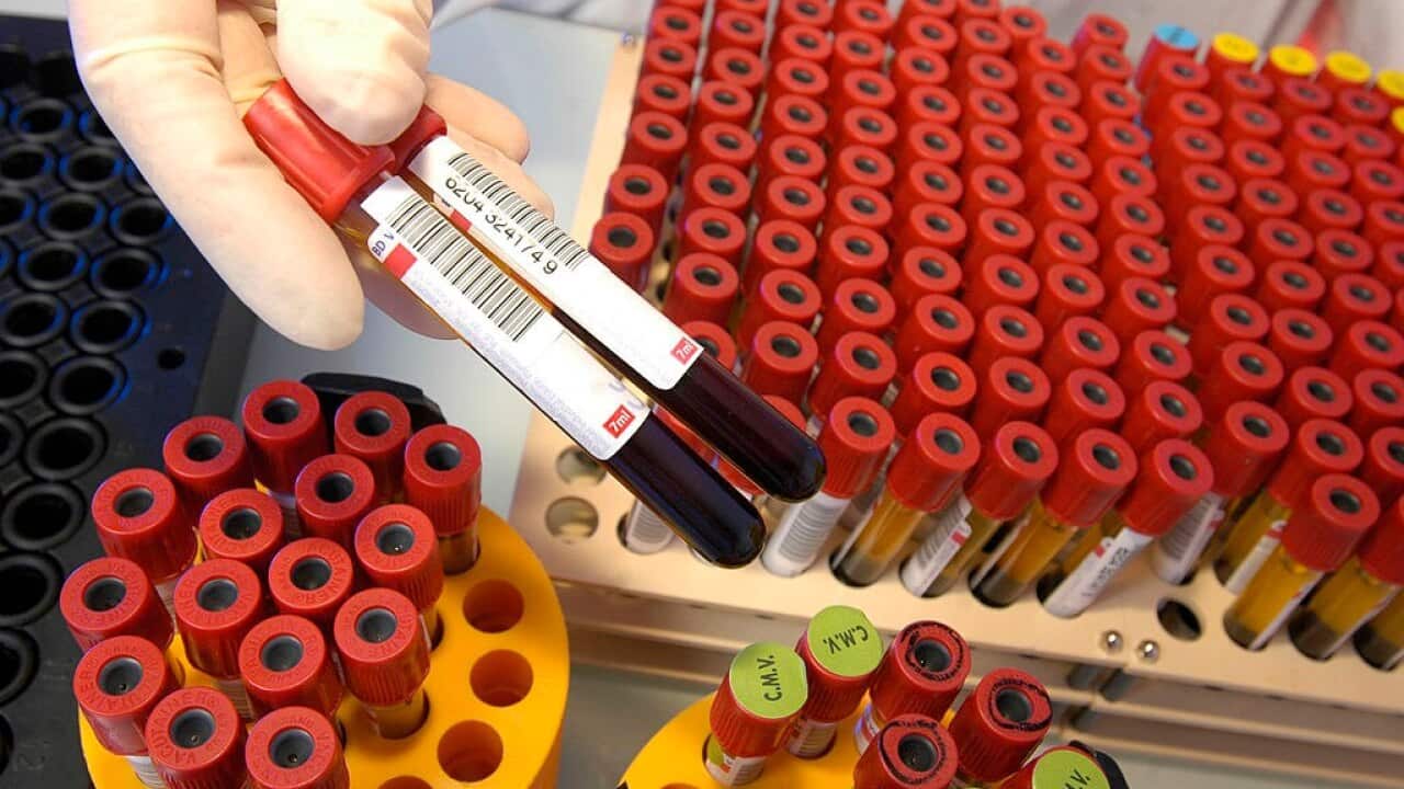 Urgent calls for O-negative blood donors