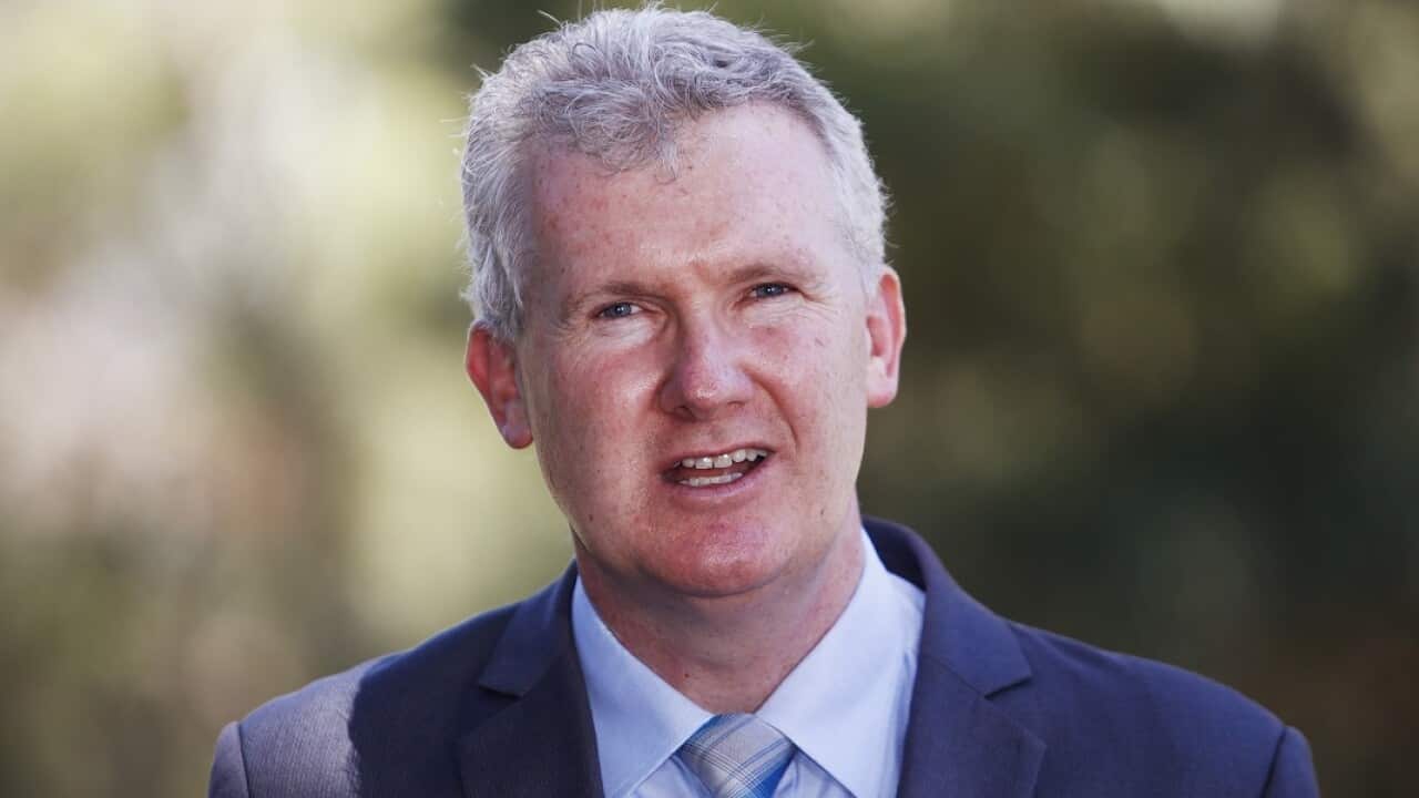 Manager of Opposition Business Tony Burke.