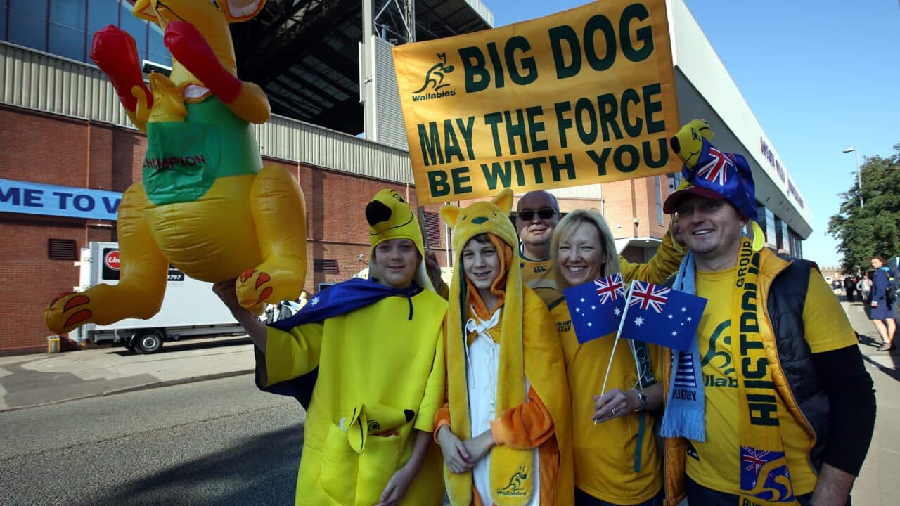 Australian fans at the Rugby World Cup