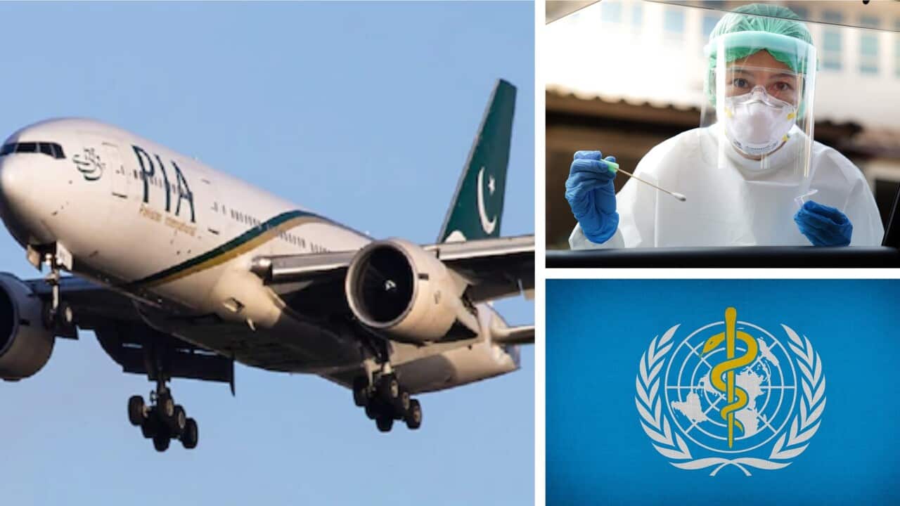 weekly world news wrap