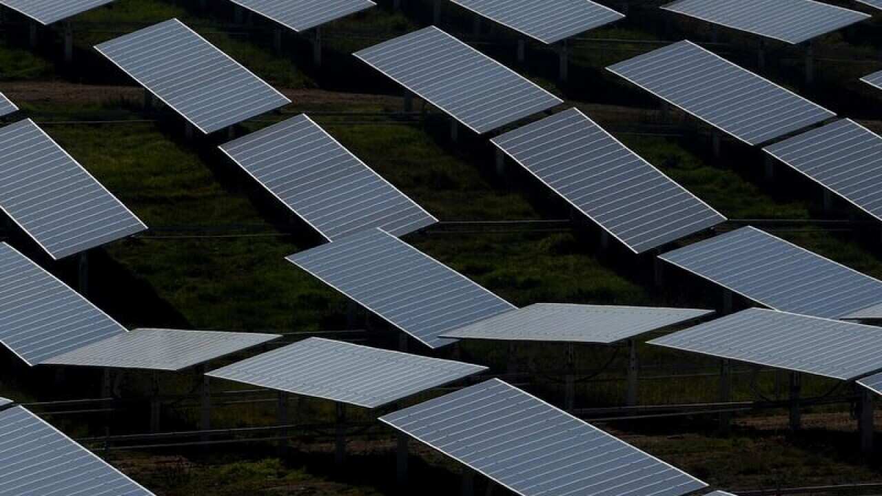 Solar panels are seen at the Williamdale Solar farm outside Canberra