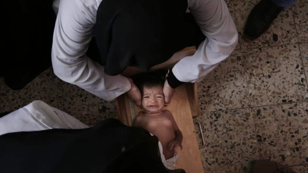Yemen War