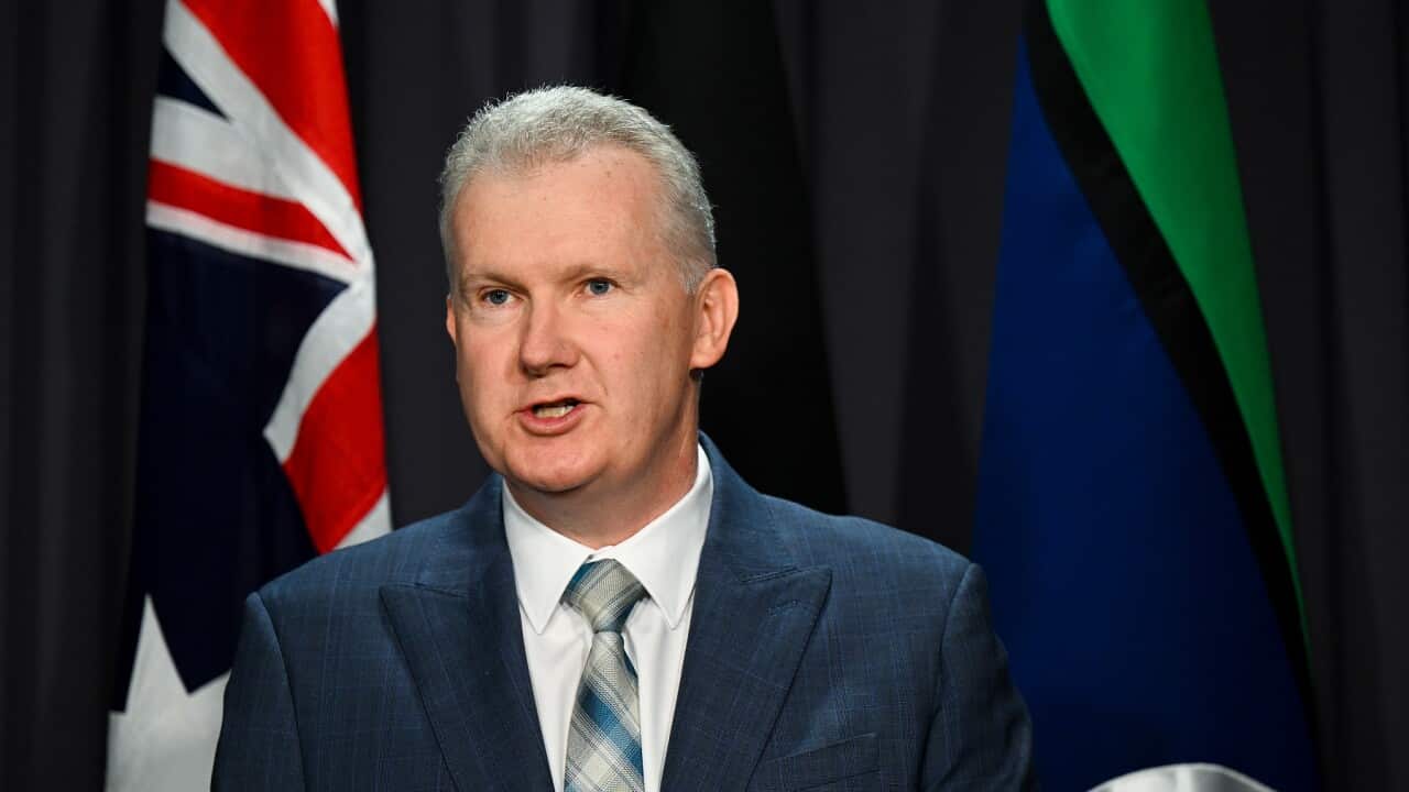 TONY BURKE MINIMUM WAGE PRESSER