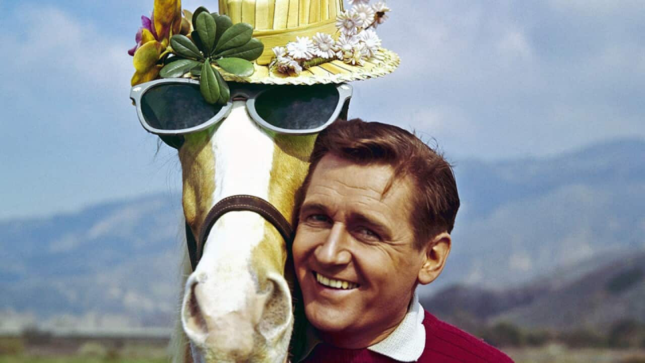 Alan Young