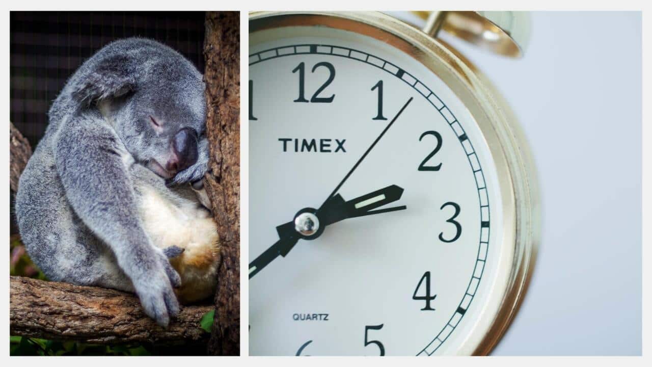 Thai Article Image - DST and Health.jpg