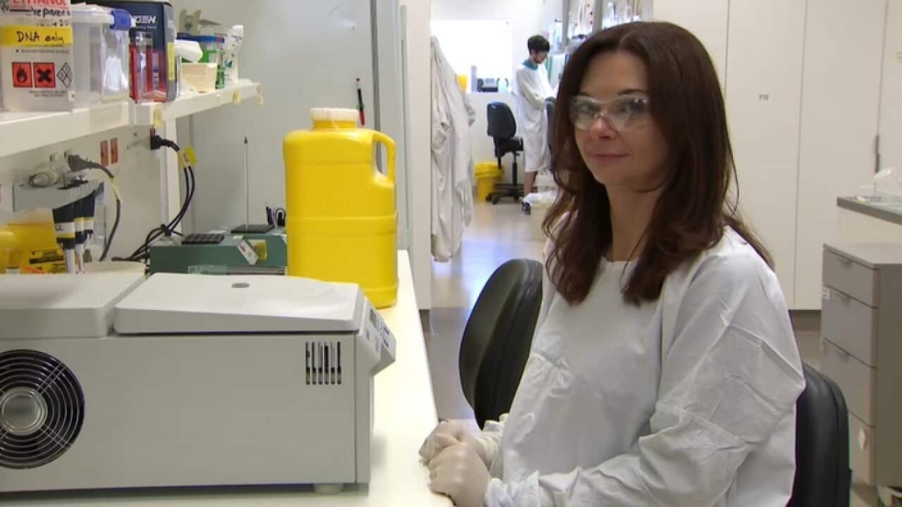 a vaccine that can beat the flu, in whatever form it comes.