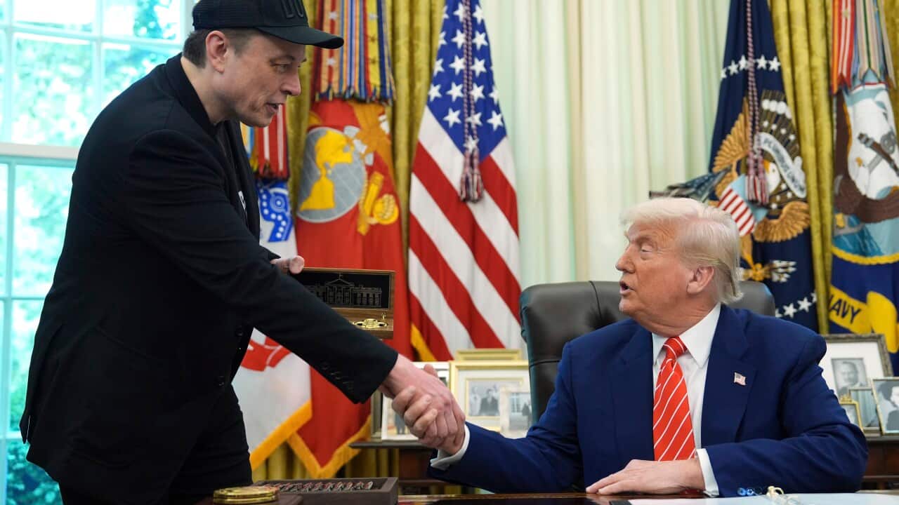 Donald Trump,Elon Musk