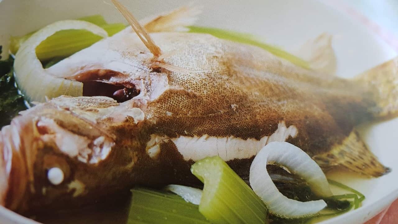Chinese perch