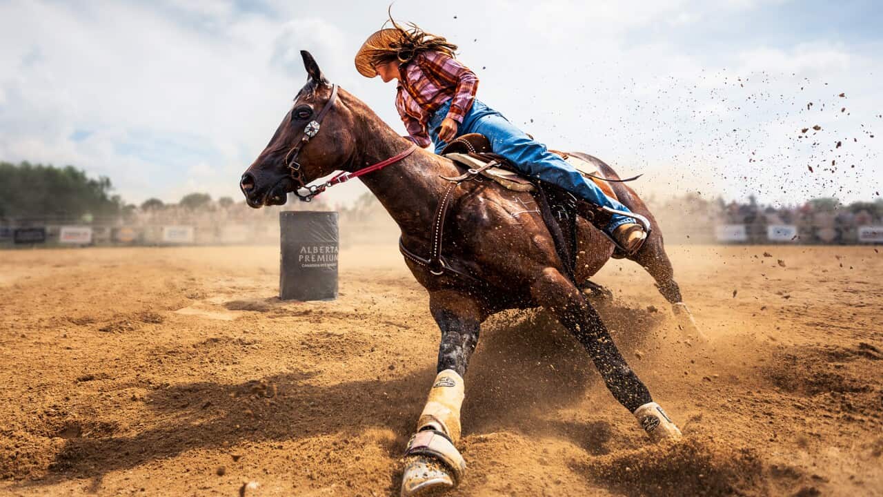 Image for read more article '更多內容'