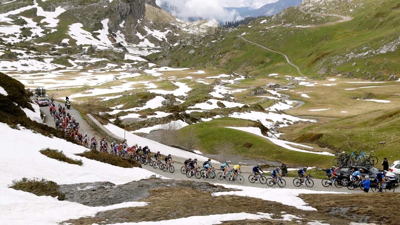 Image for read more article 'READ MORE'