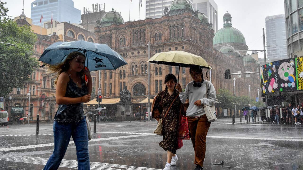 SYDNEY WET WEATHER